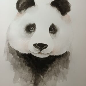 Cuadro Panda